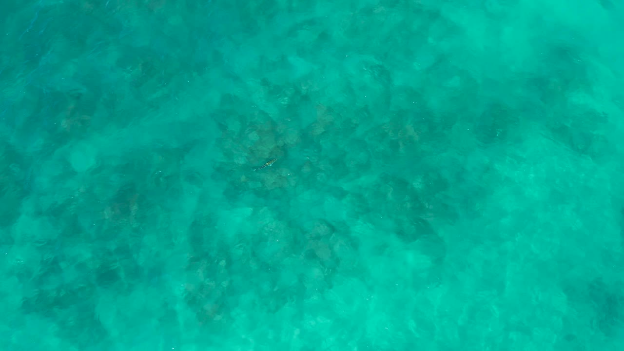 Top-down view of El Cardoncito clear sea water with dark rocky patches beneath the surface and faint fish-like shapes near the upper half, no visible people.