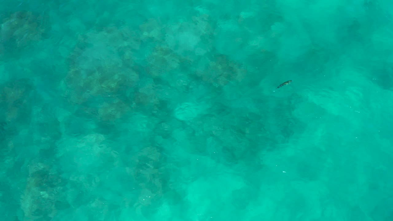 Overhead shallow turquoise water at El Cardoncito shows soft ripple patterns, darker underwater formations, and a lone fish near the upper right with no visible people.