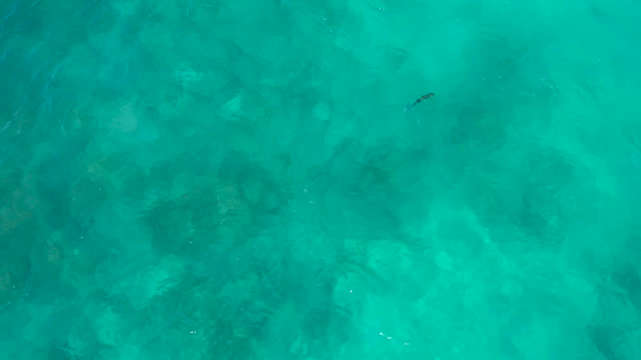Clear blue-green water fills the frame at El Cardoncito, with mottled darker underwater areas and no visible people.