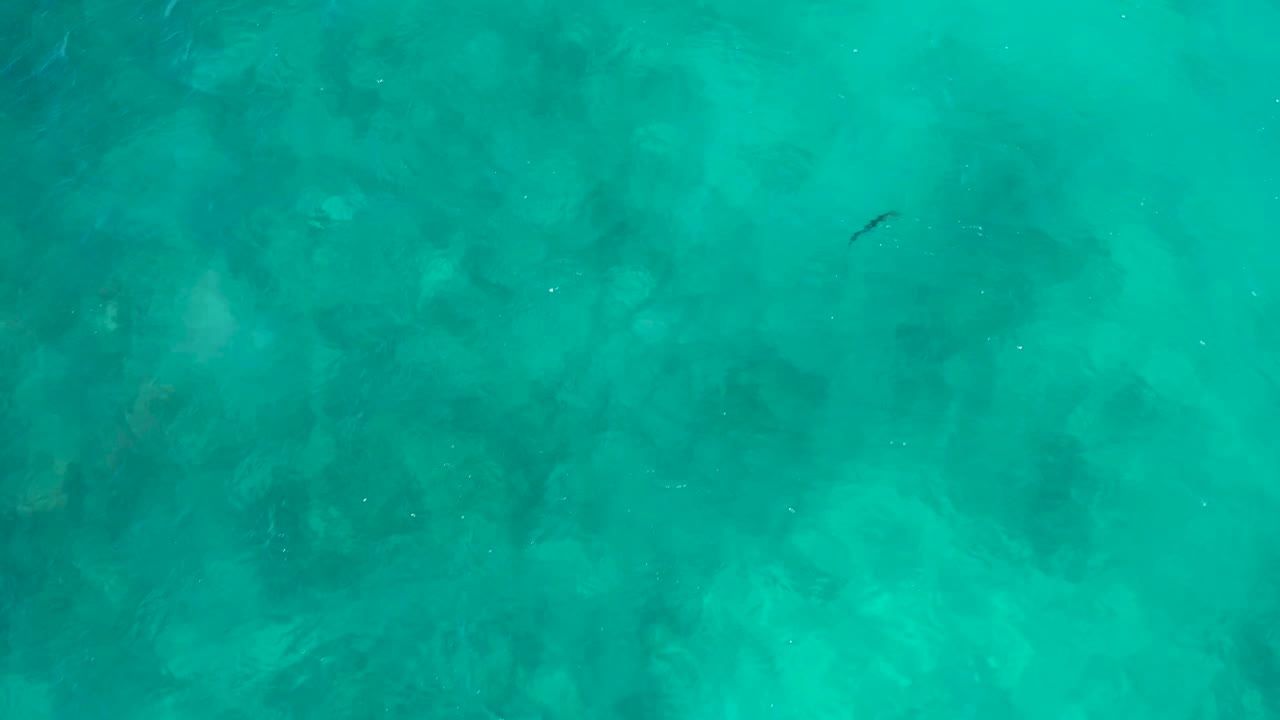 A small fish sits near the upper part of a turquoise overhead water frame in El Cardoncito, with dark submerged shapes below and no visible people.