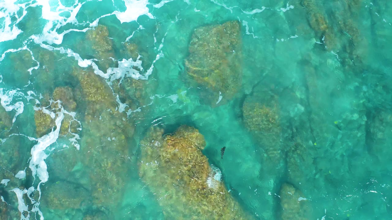 A top-down frame shows blue-green seawater over broad tan rocks at El Cardoncito, Baja California Sur, with thin foam crossing the upper left and no visible people.
