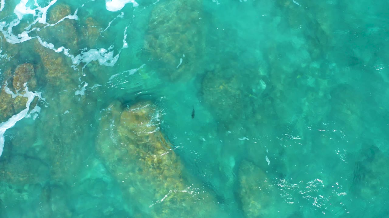 From above, clear blue water covers scattered tan rocks at El Cardoncito, Baja California Sur, with foam entering from the left side and no visible people.