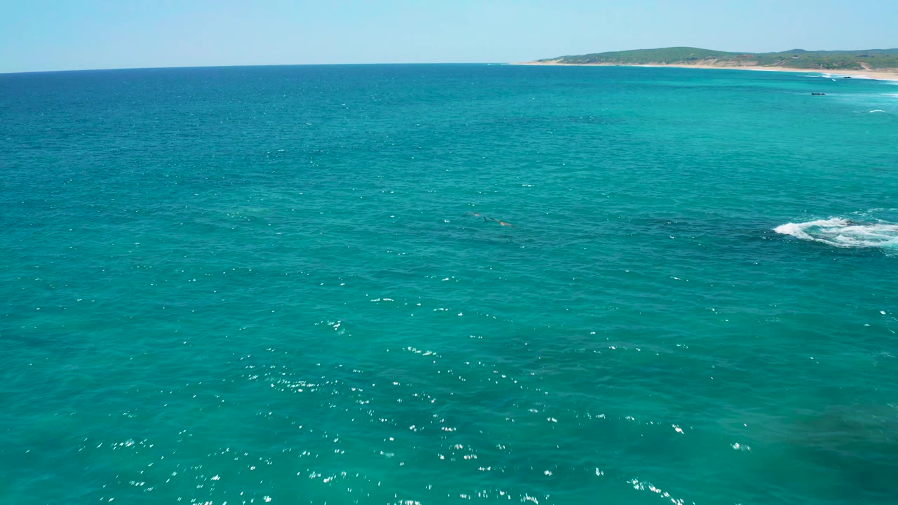 Aerial frame over open water at El Cardoncito, with sun flecks on the sea, a small white wave break to the right, and no visible people.