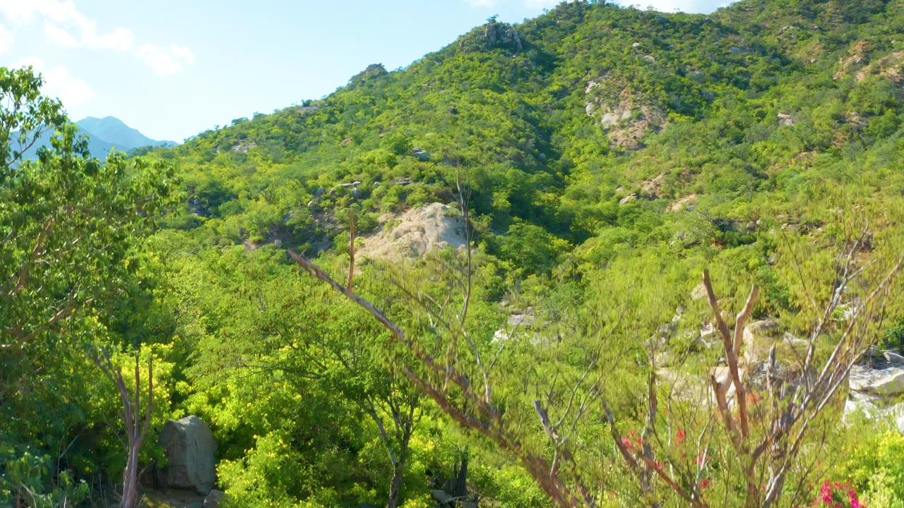 Shrubby mountain hillside with pale boulders and distant ridges.