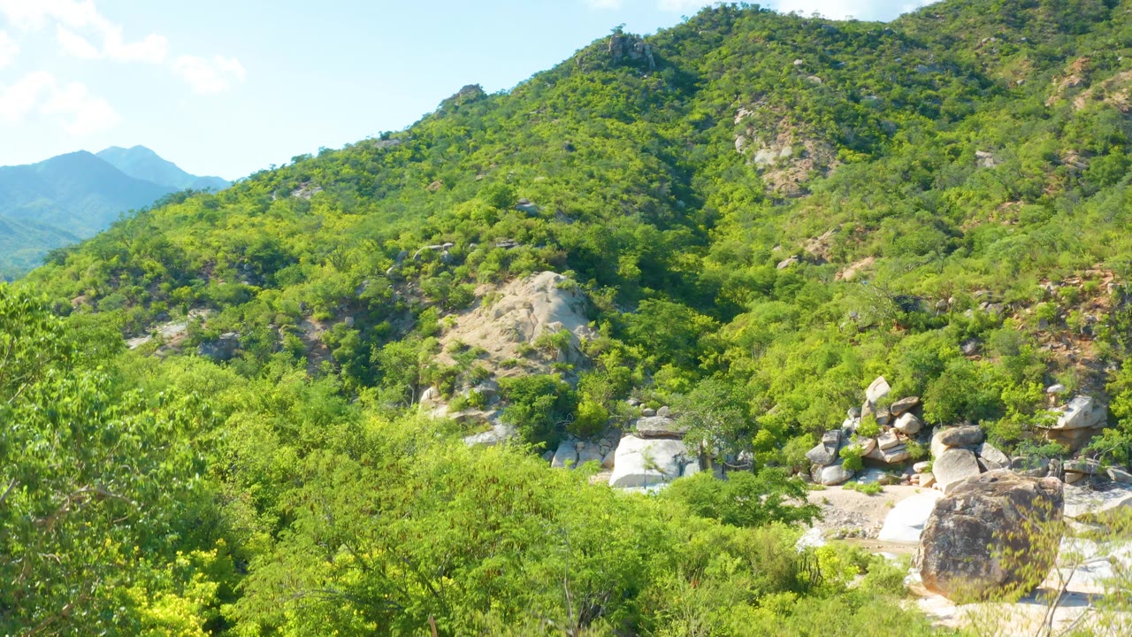 The frame centers the La Palma mountainside, with thick green brush, scattered light-colored boulders, a rocky drainage area, distant hills, and no visible people.