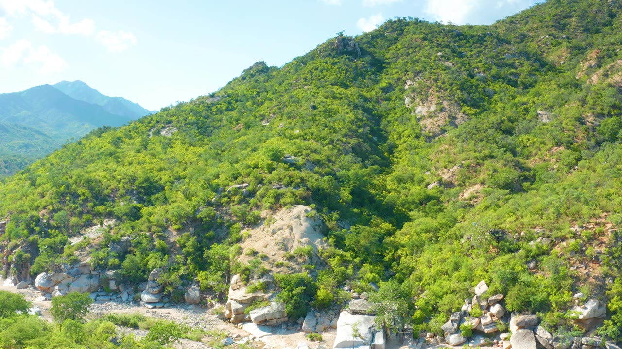 The frame shows a green mountainside in La Palma, Baja California Sur, Mexico, with a rocky wash low in frame, distant ridges at left, and no visible people.