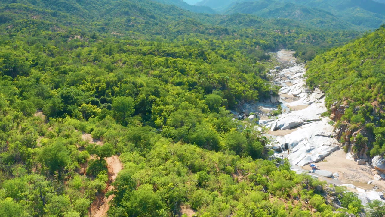 Aerial footage over La Palma, Baja California Sur looks along a white rock wash between thick green slopes, with no roads, buildings, or visible people in frame.
