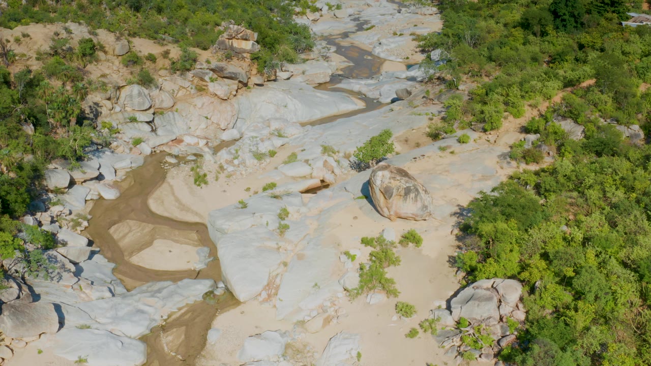 Aerial view in La Palma, Baja California Sur, where a tan wash curves between pale stone shelves and dense green brush, with no visible people.