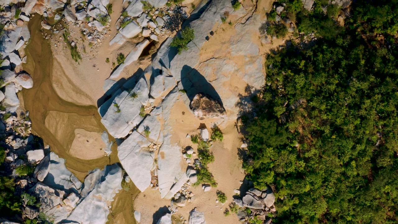 Top-down frame from La Palma, Baja California Sur showing broad pale rock surfaces, tan sand, shallow brown water at the left, green tree canopy at the right, and no visible people.