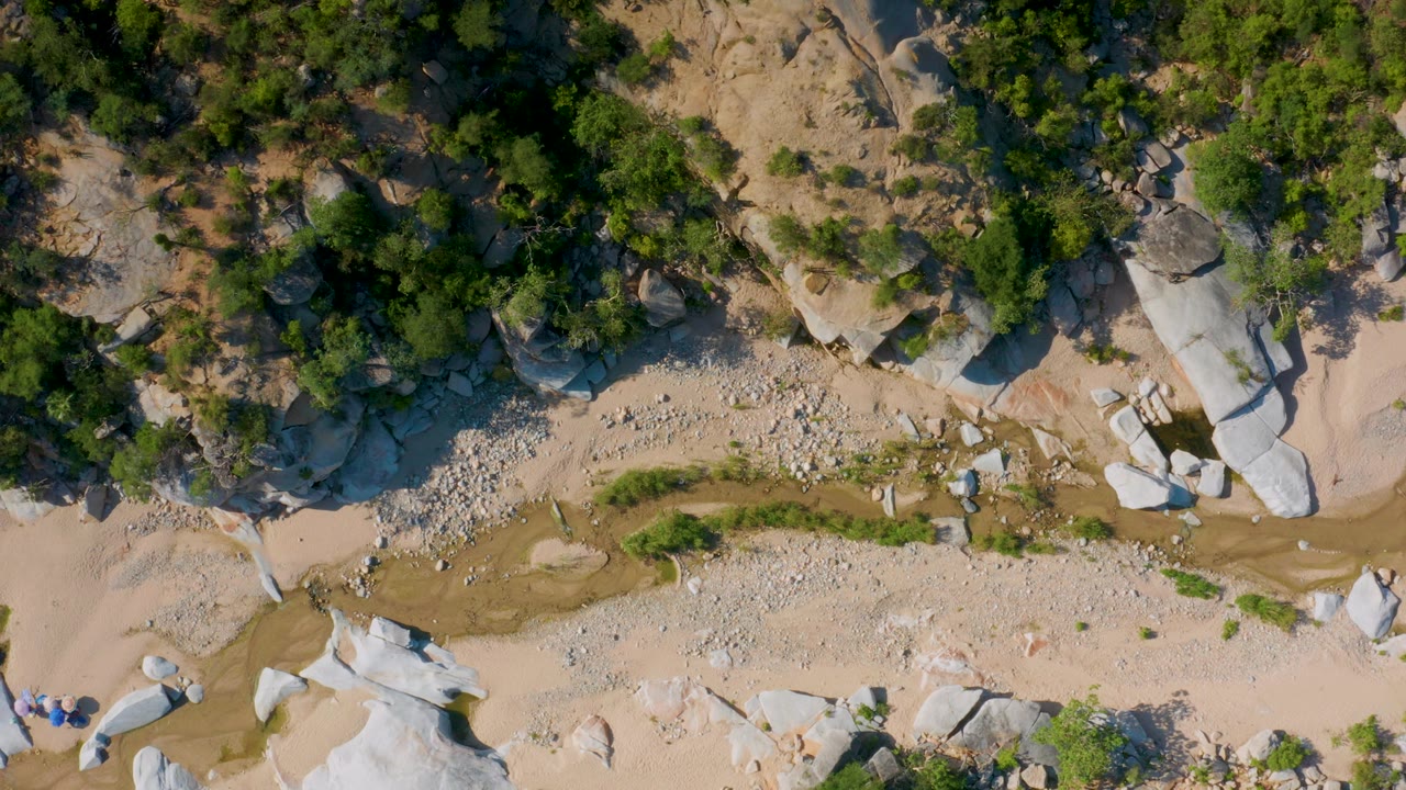 Overhead La Palma frame where the sandy channel sits below darker trees, with bright boulders and loose gravel marking the ravine edge, and no visible people.