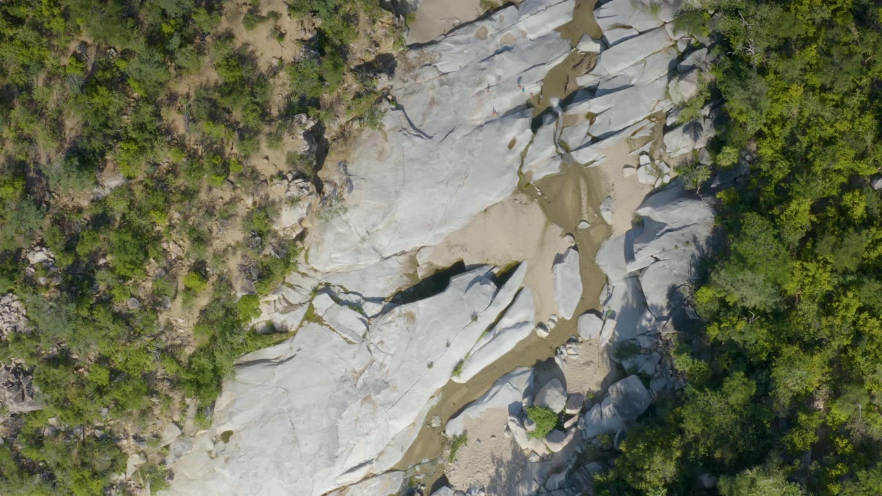 Aerial La Palma, Baja California Sur frame with white stone ridges, a narrow muddy wash, and mixed tall and small green vegetation, with no visible people.