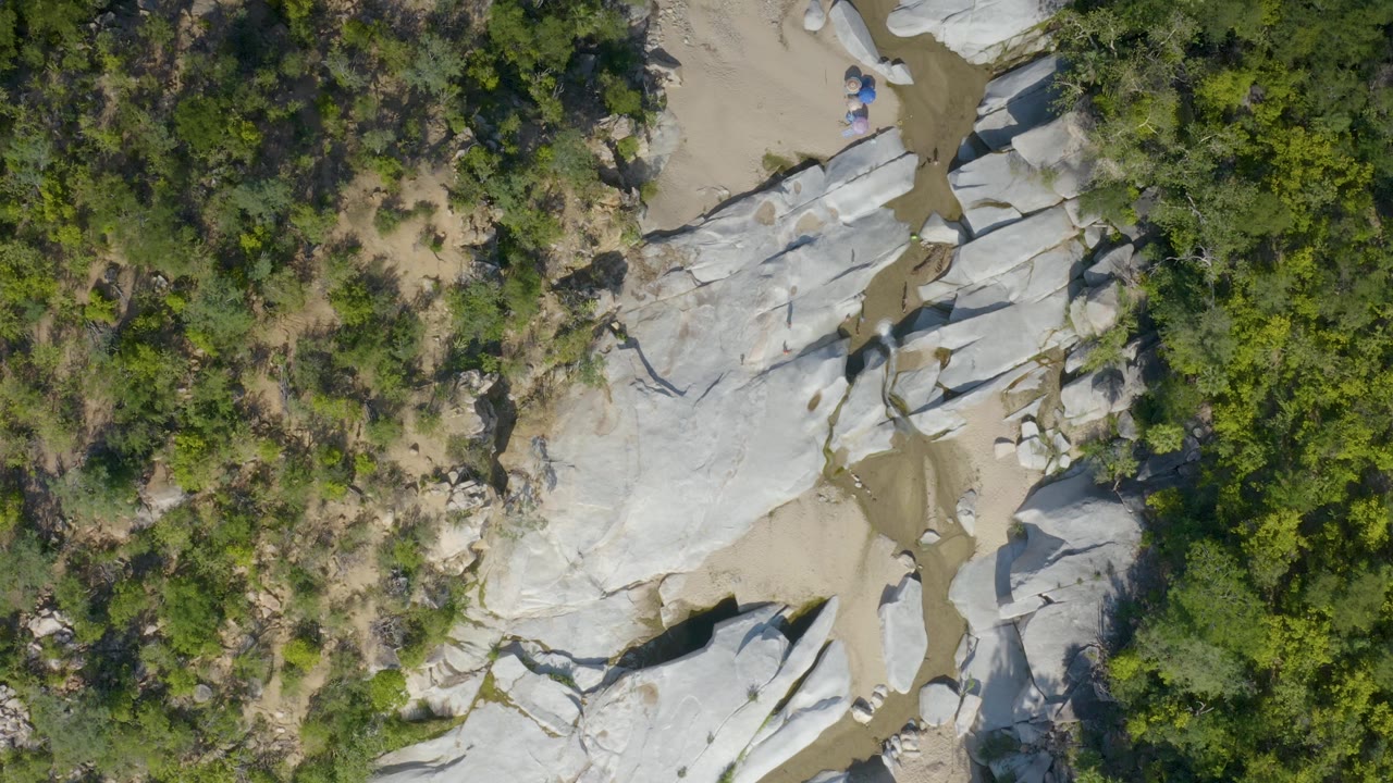 Aerial frame over La Palma showing smooth gray rocks bordering a tan sandy channel, with dense green vegetation filling the opposite side and no visible people.