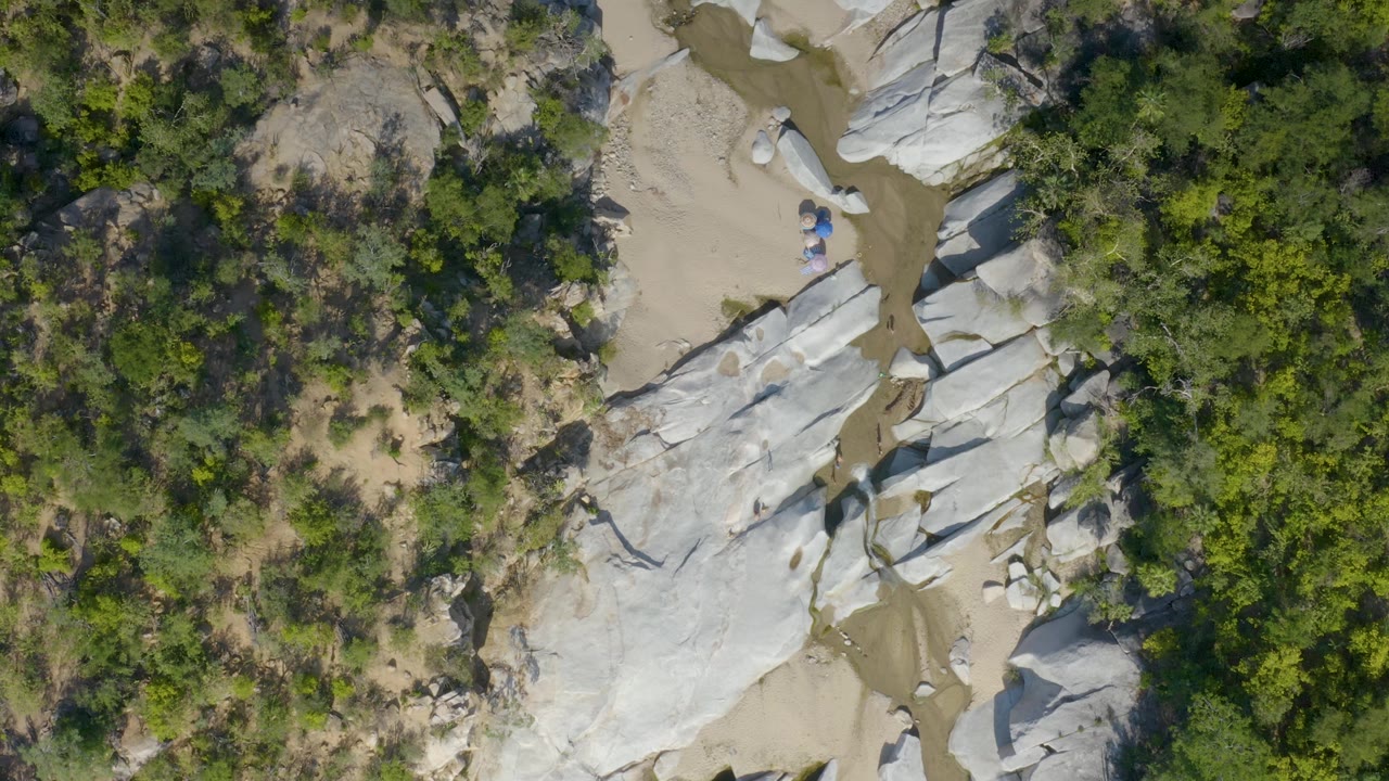 Overhead La Palma frame with pale stone ridges beside a sandy wash and clustered green vegetation filling the right side, with no visible people.