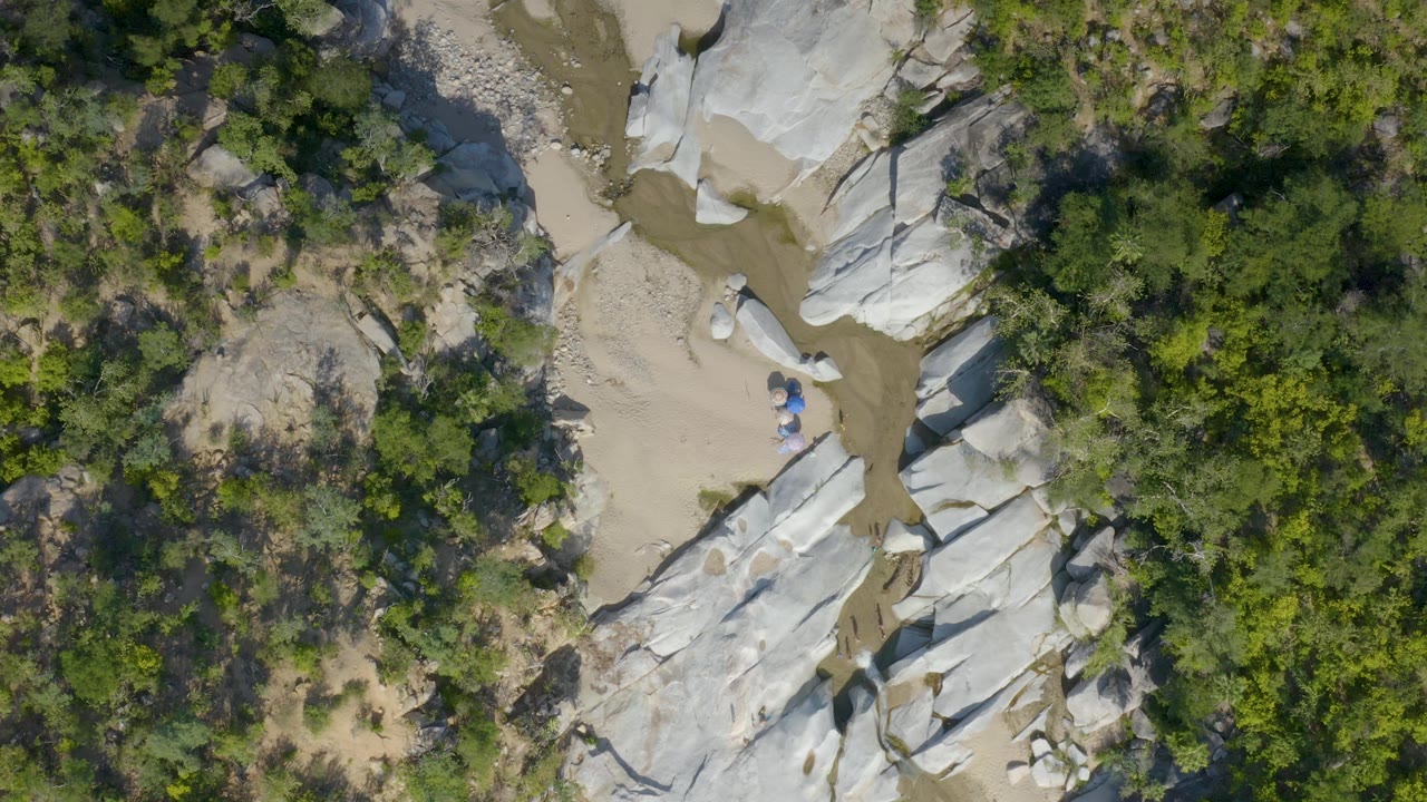 Aerial view in La Palma, Baja California Sur with the muddy channel running along pale stone shelves and dense green vegetation filling the right side, with no visible people.