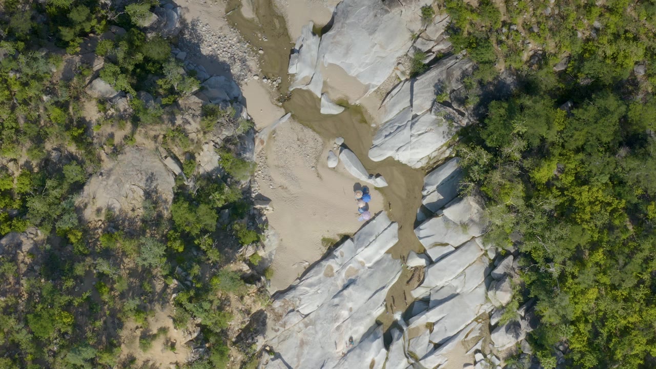 Top-down frame over La Palma, Baja California Sur showing white rock formations split by tan sand and muddy water, with green brush at the edge and no visible people.