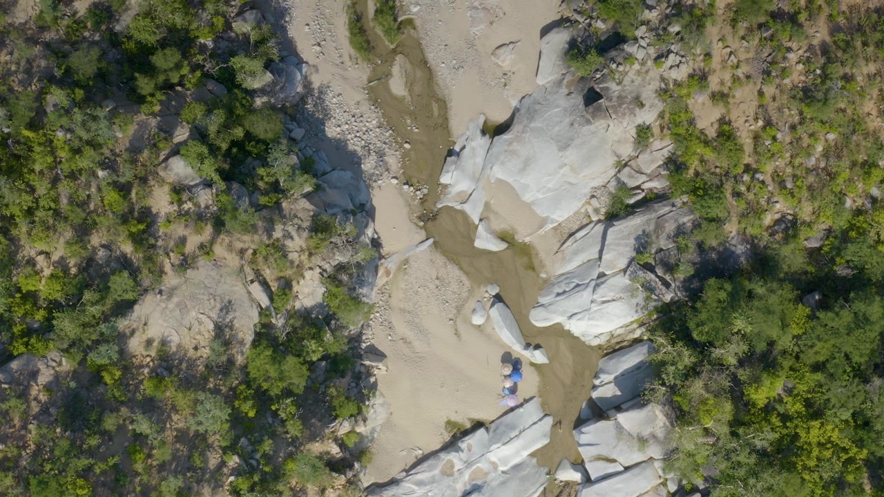 Overhead aerial frame in La Palma, Baja California Sur showing a narrow muddy creek channel beside pale rounded rocks and dense green vegetation, with no visible people.