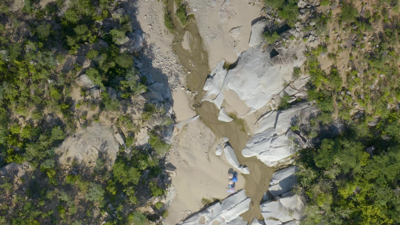 Top-down view in La Palma, Baja California Sur showing dense green brush on both sides of a sandy wash with white rock forms near the center, with no visible people.