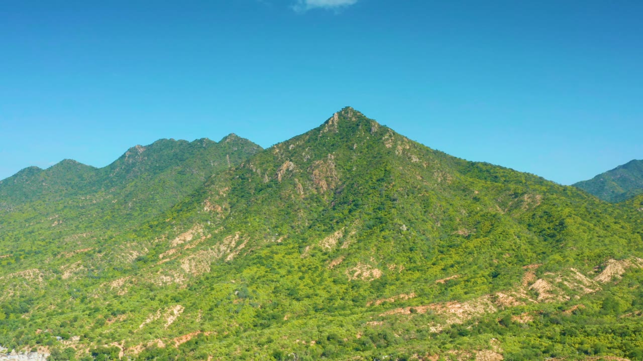 Tree-covered mountain peak with rocky patches and blue sky.