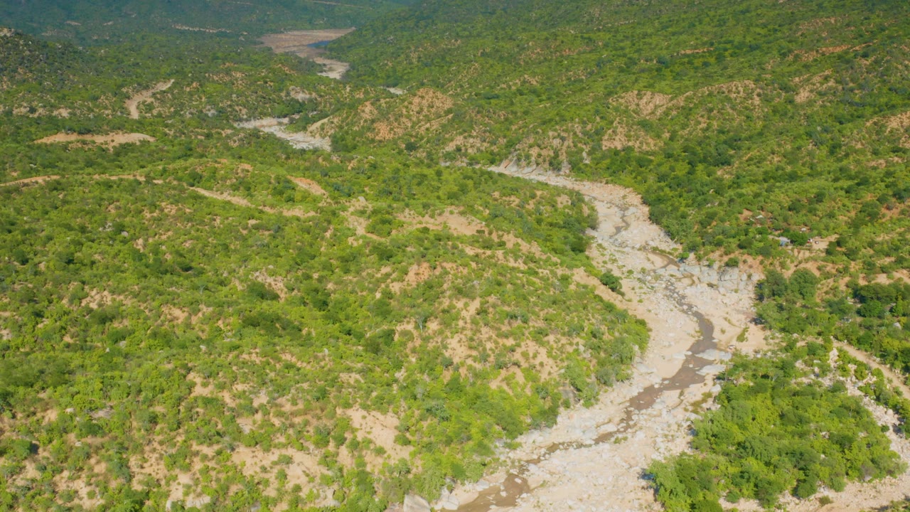 High aerial frame over La Palma, Baja California Sur showing a pale rocky wash with muddy water marks winding through uneven green hills, with no visible people.