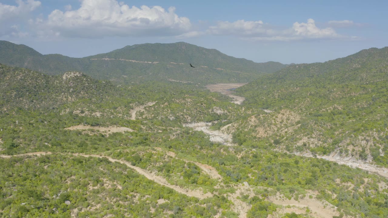 Aerial view in La Palma, Baja California Sur, Mexico, with a small bird above scrubby hills, pale sandy wash lines, dirt roads, distant ridges, clouds, and no visible people.