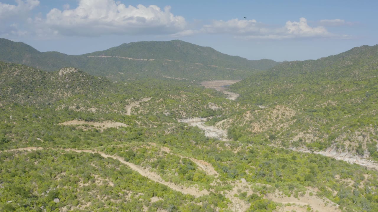 Elevated La Palma landscape frame with a bird near the upper sky, scrub-covered hills below, pale gullies, distant mountain ridges, and no visible people.