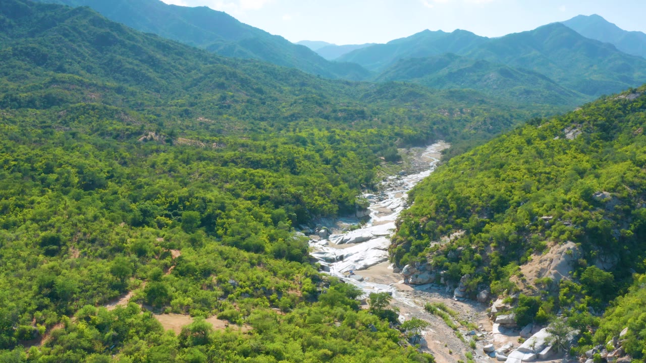 Drone-like view of La Palma mountain terrain with dense green scrub, exposed pale stone in the valley floor, blue ridgelines, and no visible people.