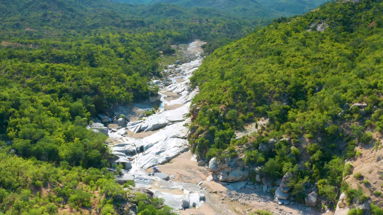 Overhead view of the La Palma dry river bed with pale rock ledges, tan sand, and dense green vegetation filling the surrounding hills, no visible people.