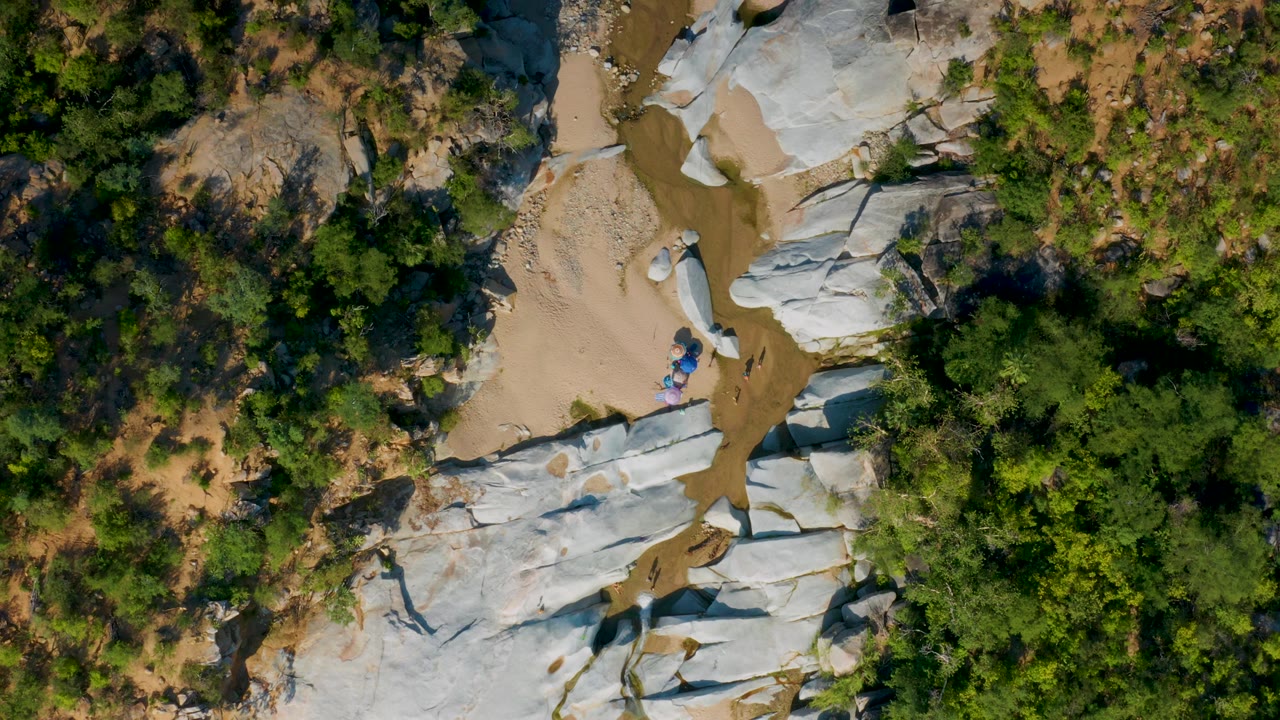 Top-down drone frame in La Palma, Baja California Sur, showing the stream squeezed between pale rock on one side and dense green jungle foliage on the other, with no visible people.