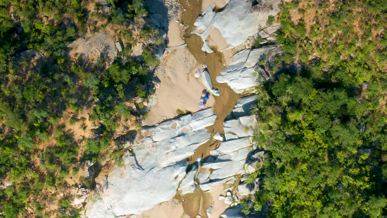 Aerial frame in La Palma, Baja California Sur, showing a rocky sandy riverbed running beside thick green trees and scrub, with no visible people.