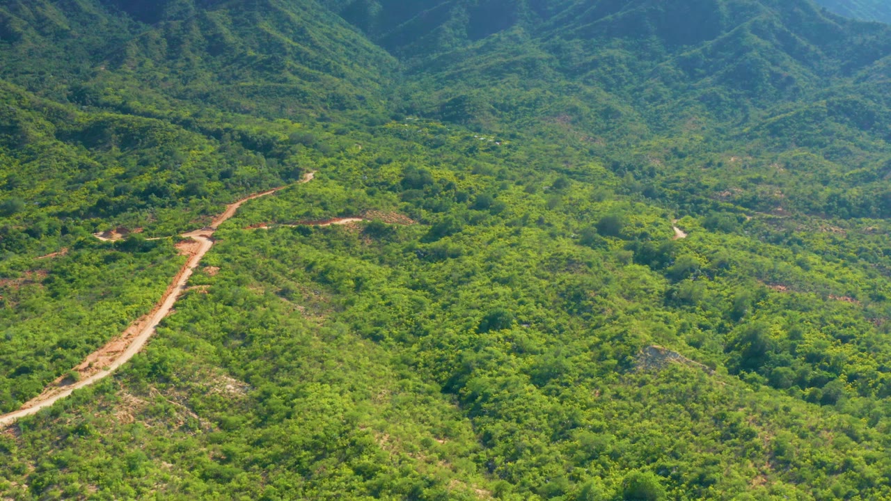 A high view near La Palma, Baja California Sur shows the dirt road lower in frame, green scrub covering the hillside, and hazy mountains beyond, with no visible people.