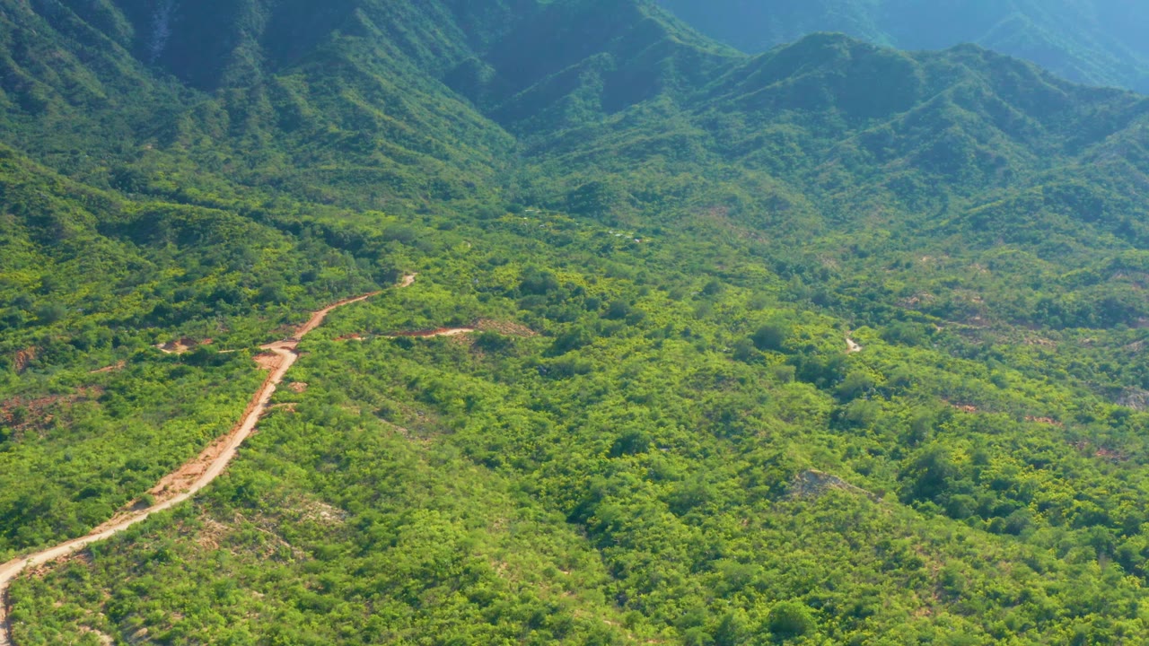 High aerial view in La Palma, Baja California Sur, showing a remote dirt road bending across the lower center, with varied green vegetation, steep mountain faces, and no visible people.