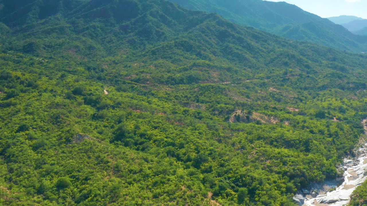 Forested mountain valley with distant ridges and exposed rock