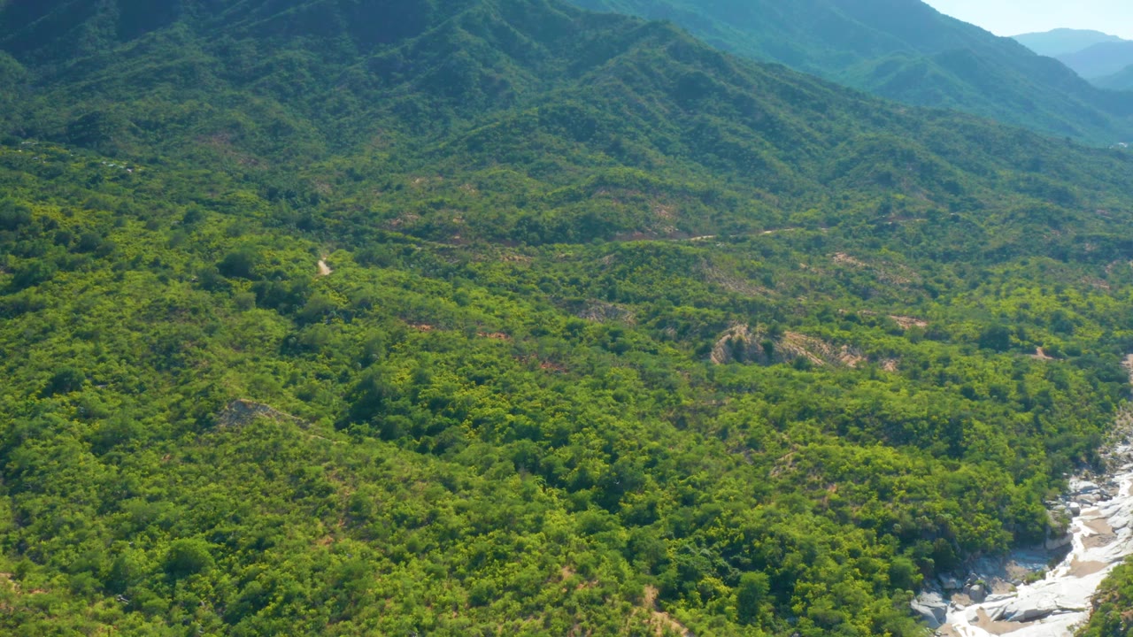 Aerial frame from La Palma, Baja California Sur, showing green hillside canopy, a white rocky wash along the lower right edge, and hazy mountains beyond, with no visible people.