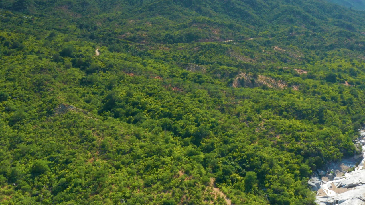 Aerial frame from La Palma, Baja California Sur, with thick green vegetation across a valley, exposed pale rock near the bottom edge, and layered hills in the background, with no visible people.