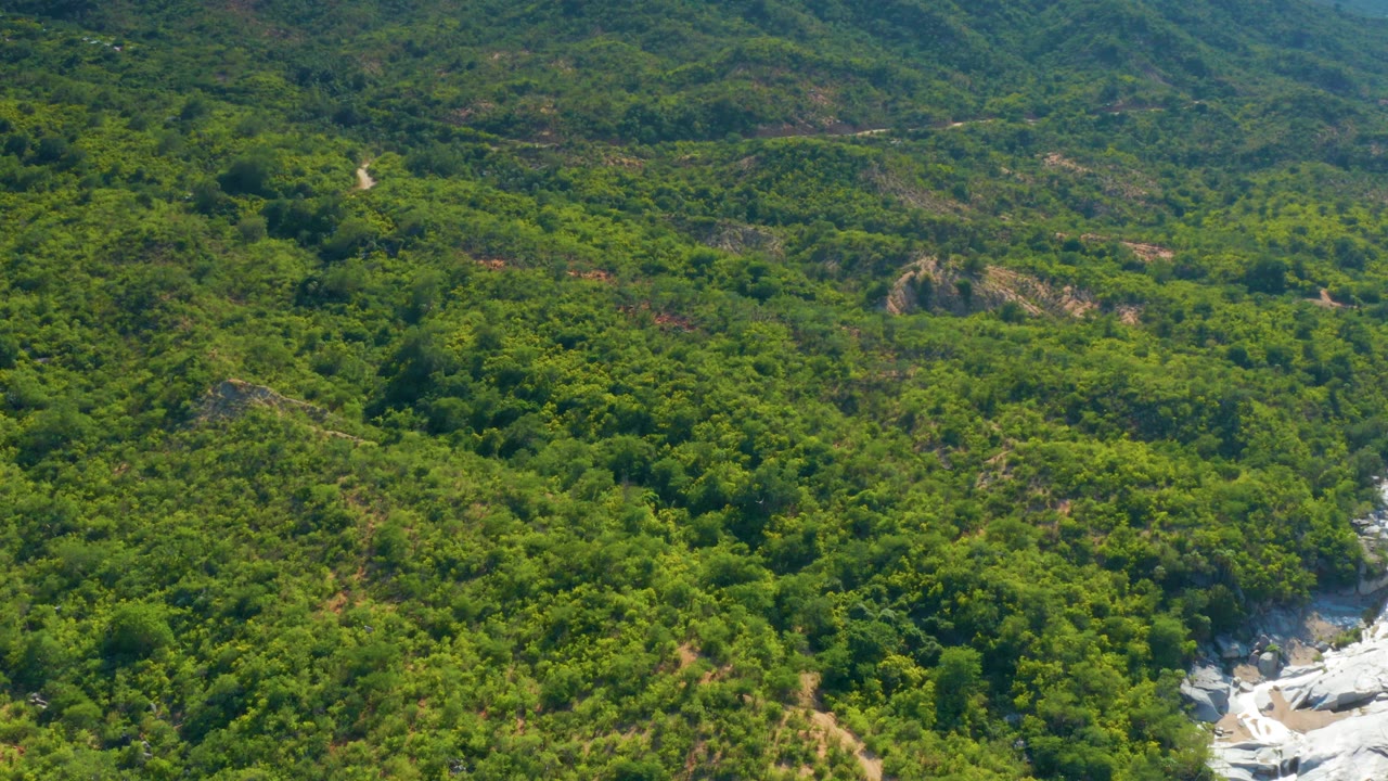 Aerial view in La Palma, Baja California Sur, showing sunlit green tree cover, uneven hillside contours, small exposed rock faces, and a bright rocky drainage at the lower right, with no visible people.