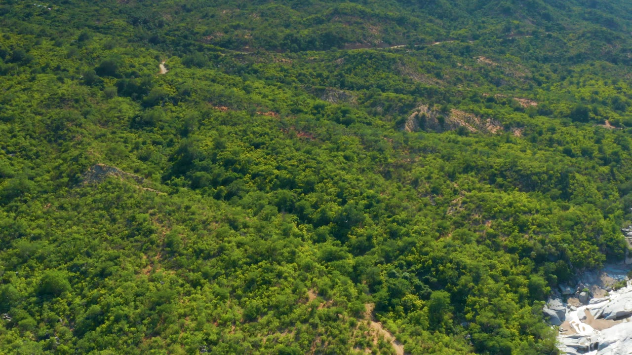 Aerial frame over La Palma, Baja California Sur, with rolling green forest, a bright pale rock watercourse near the lower right corner, and hazy blue-green hills beyond, with no visible people.