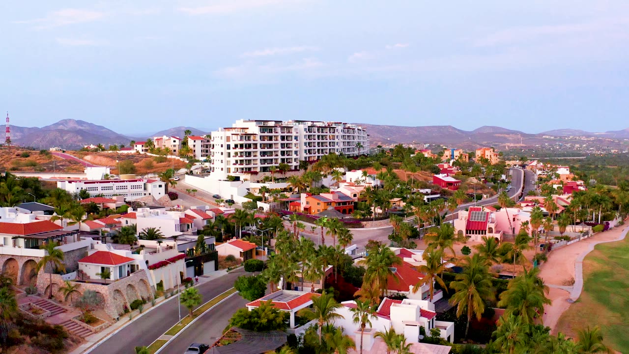 Palm-lined road beside white villas and red-roofed homes