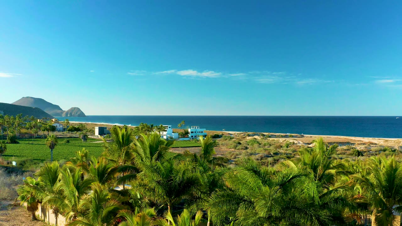 Elevated Todos Santos coastline view with dense palm canopy in the foreground, cultivated green fields, pale sand, blue water, distant headlands, and no visible people.