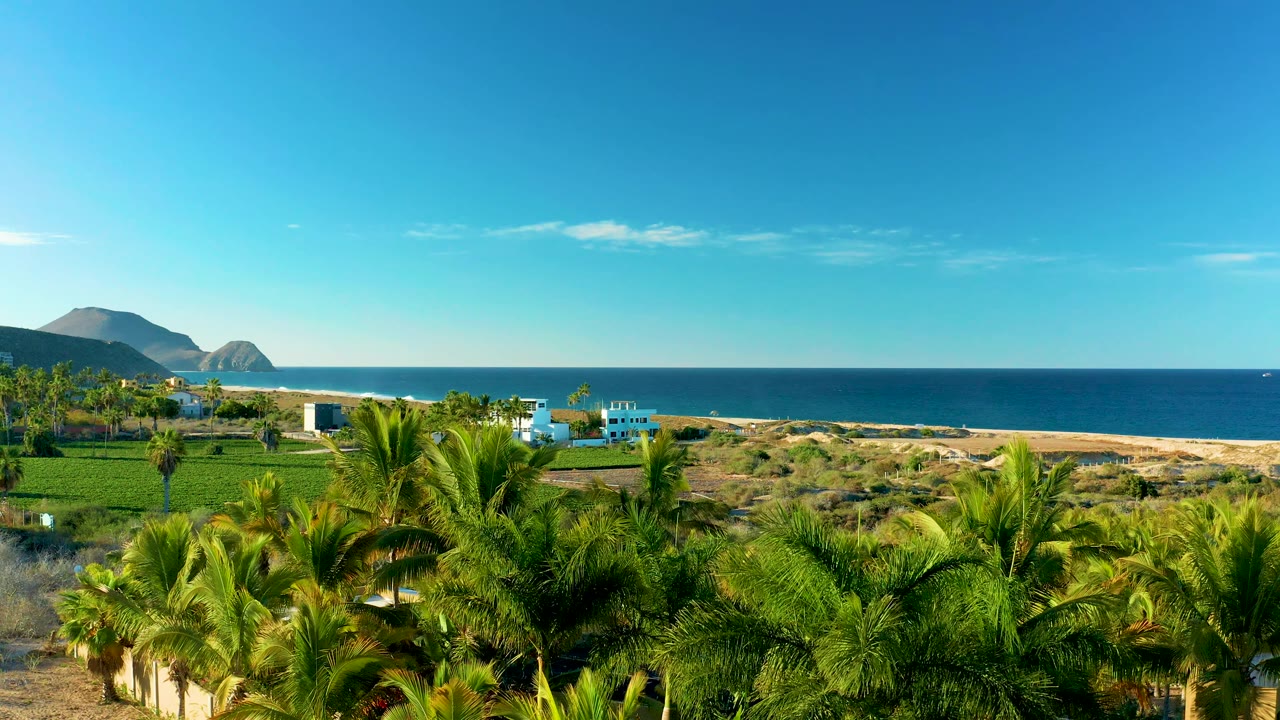 Todos Santos coastal frame with palms across the lower edge, green agricultural plots, white and blue buildings near the shore, sandy beach, ocean horizon, hills, and no visible people.