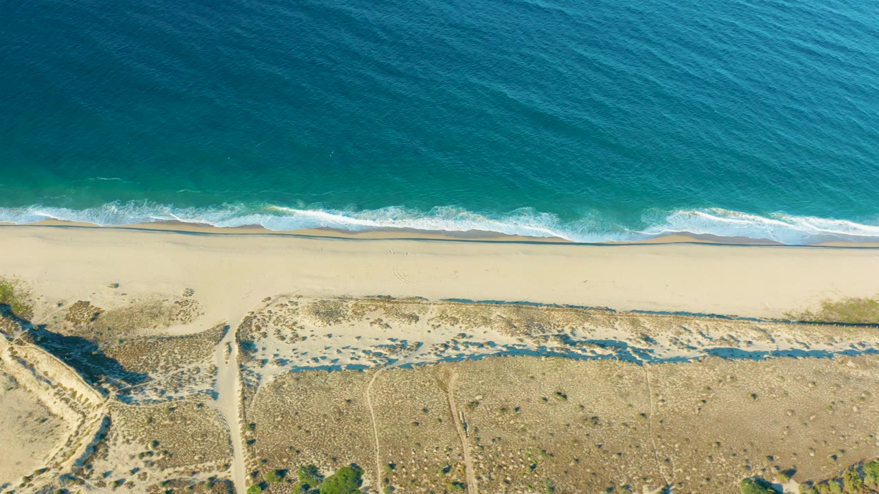 Top-down Todos Santos coastal view with blue-green ocean at the top, a narrow strip of breaking waves, an empty sandy beach, and textured dunes with scattered vegetation.