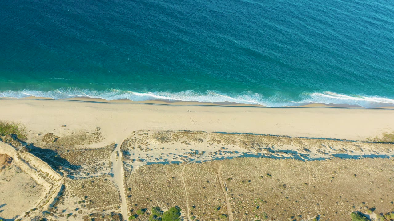 Overhead frame from Todos Santos showing small white waves meeting a long pale sand beach, with dry dunes, a curving path, and sparse plants below, no visible people.