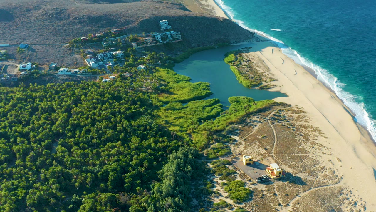 Aerial view over Todos Santos, Baja California Sur, with dense green forest in the foreground, a lagoon behind pale dunes, ocean surf along the right edge, hillside buildings above the beach, and no visible people.