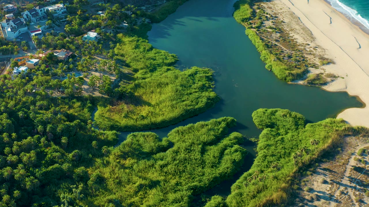 Aerial estuary channel bordered by bright green vegetation and pale sand