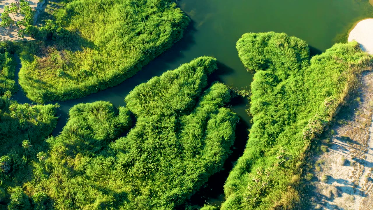 Top-down Todos Santos river frame with a broader dark water section at the top, thick green brush below, and a small sandy curve on the bank, with no visible people.