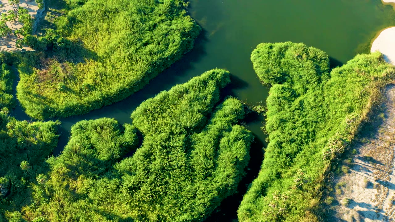 Overhead Todos Santos view with dark river water cutting around dense vegetation islands and a pale sandy patch near the upper bank, with no visible people.