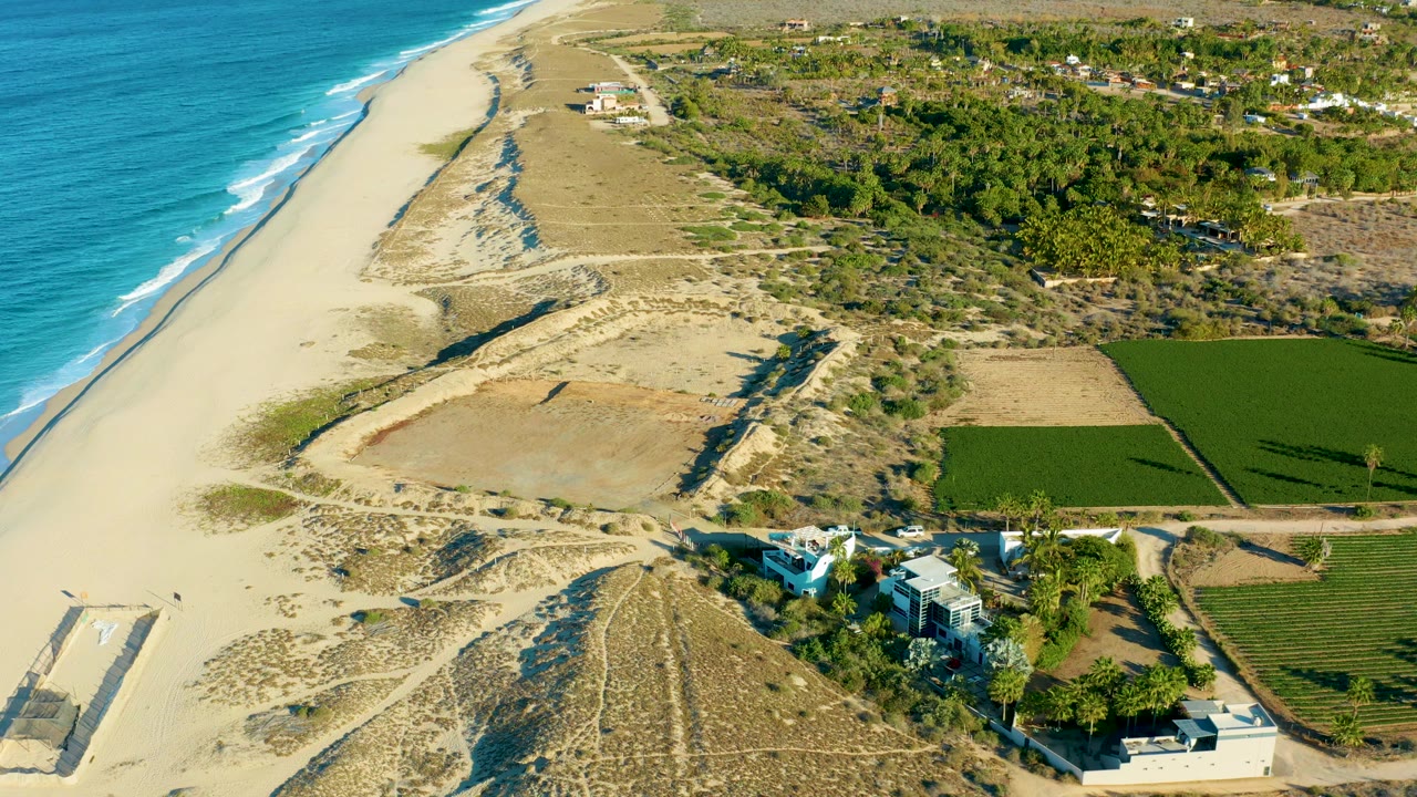 Coastal dunes beside ocean waves and rectangular farm plots.