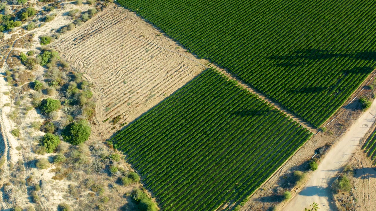 Overhead crop fields bordered by sandy scrub and a pale road.