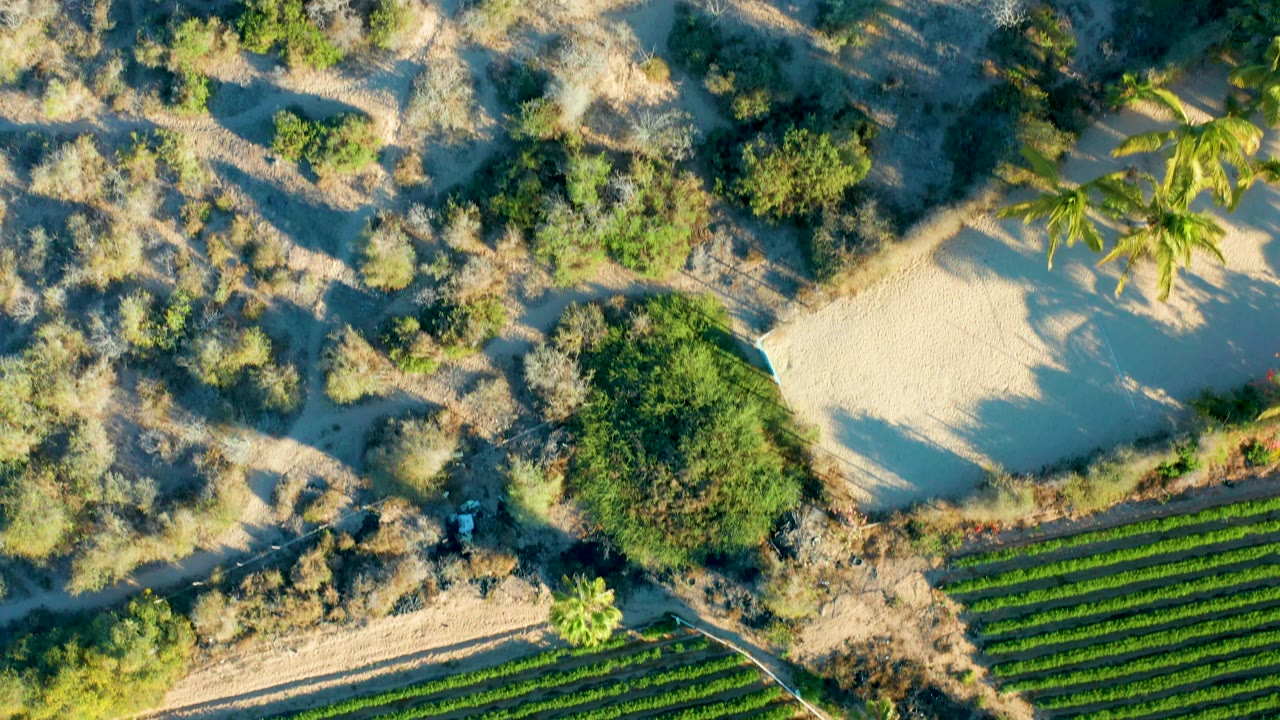 Top-down view shifting toward dry bushland with the field partly visible.