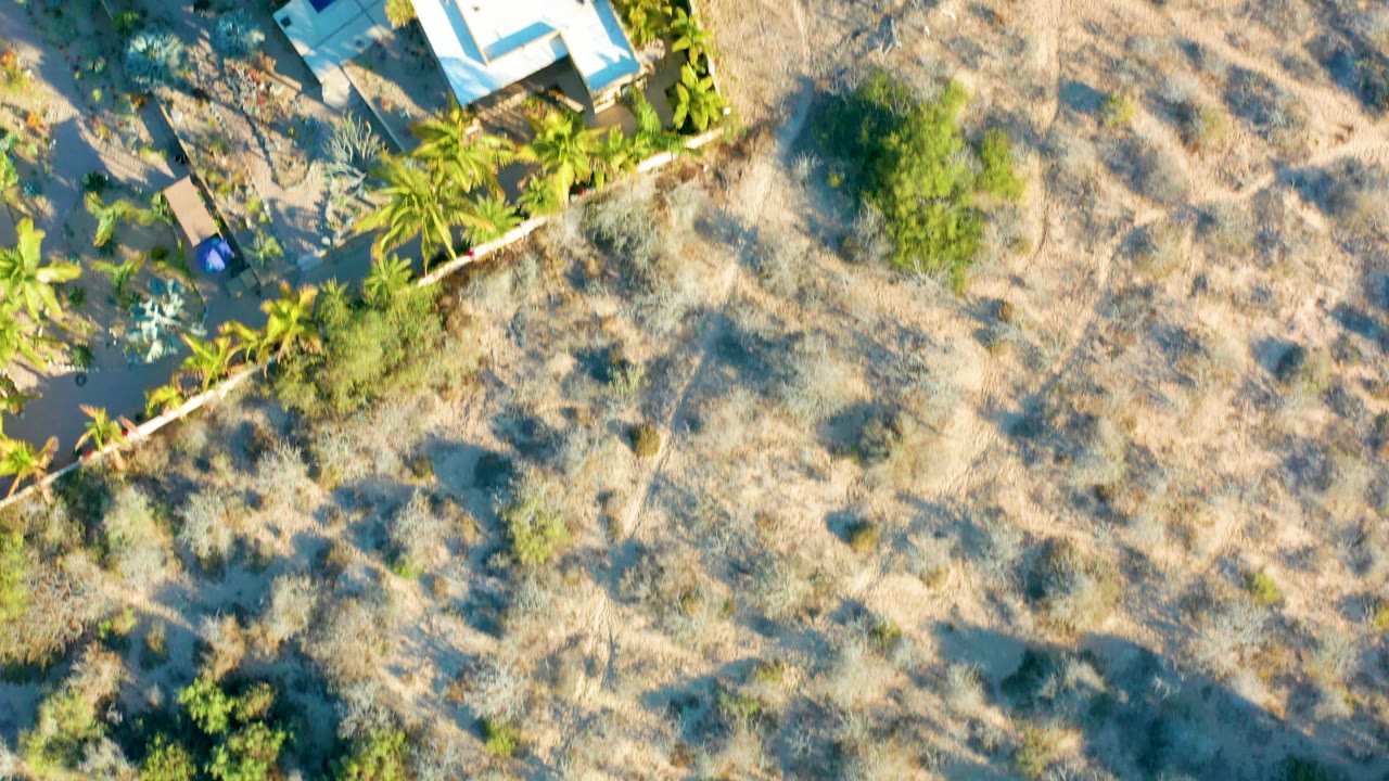 Aerial view in Todos Santos showing brown grassland, scattered green shrubs, palm trees, and part of a white-roofed residence along the frame edge, with no visible people.