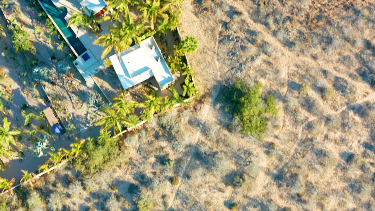 Top-down Todos Santos aerial with white roofs, dense palms, and a broad dry field crossing the frame, with no visible people.